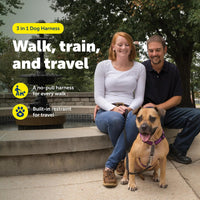 PetSafe 3 in 1 No-Pull Dog Harness, Walk, Train or Travel - Plum / Medium (Pack of 1) - image 2