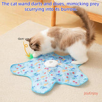 Hide and Seek Interactive Cat Toys - Fish Cover - image 2