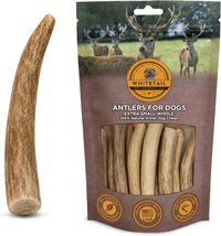 WhiteTail Naturals 12 Pack Whole Deer Antlers for Petite Dogs Up - Petite (Pack of 12)