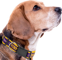 NFL Vikings Dog & Cat Collar - Minnesota Vikings / Large - image 4