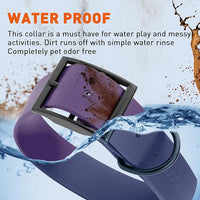 Dogline Biothane Waterproof Dog Collar Strong Coated Nylon Webbing with Black Hardware Odor- Proof for Easy Care Easy to Clean High Performance Fits Small Medium or Large Dogs, Violet Purple