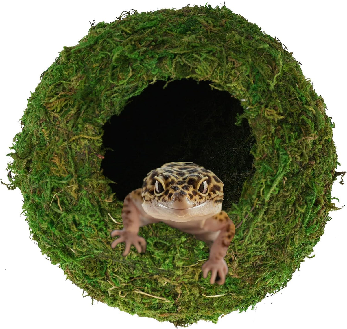 USMOLA Mossy Caves, Artificial Green Moss Caves Hide for Pet Reptile Frogs and Snakes, Terrarium - 4" - Woodland Green