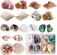 SINKOO 17PCS Hermit Crab Shells