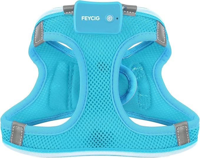 Light Up Dog Harness,Rechargeable LED Dog Harness for Small Medium Large Dogs,Reflective Lighted Safety Vest for Night Walking & Camping,Lightweight & Adjustable,Blue,L