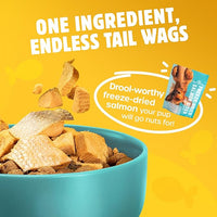 Freeze Dried Dog Treats - Wild Caught Salmon - Dog Food Dry Snacks - with Protein & Omega 3s - for All Breeds & Sizes - No Artificial Flavors & Dyes, No Preservatives - 1 Pouch, 4 oz