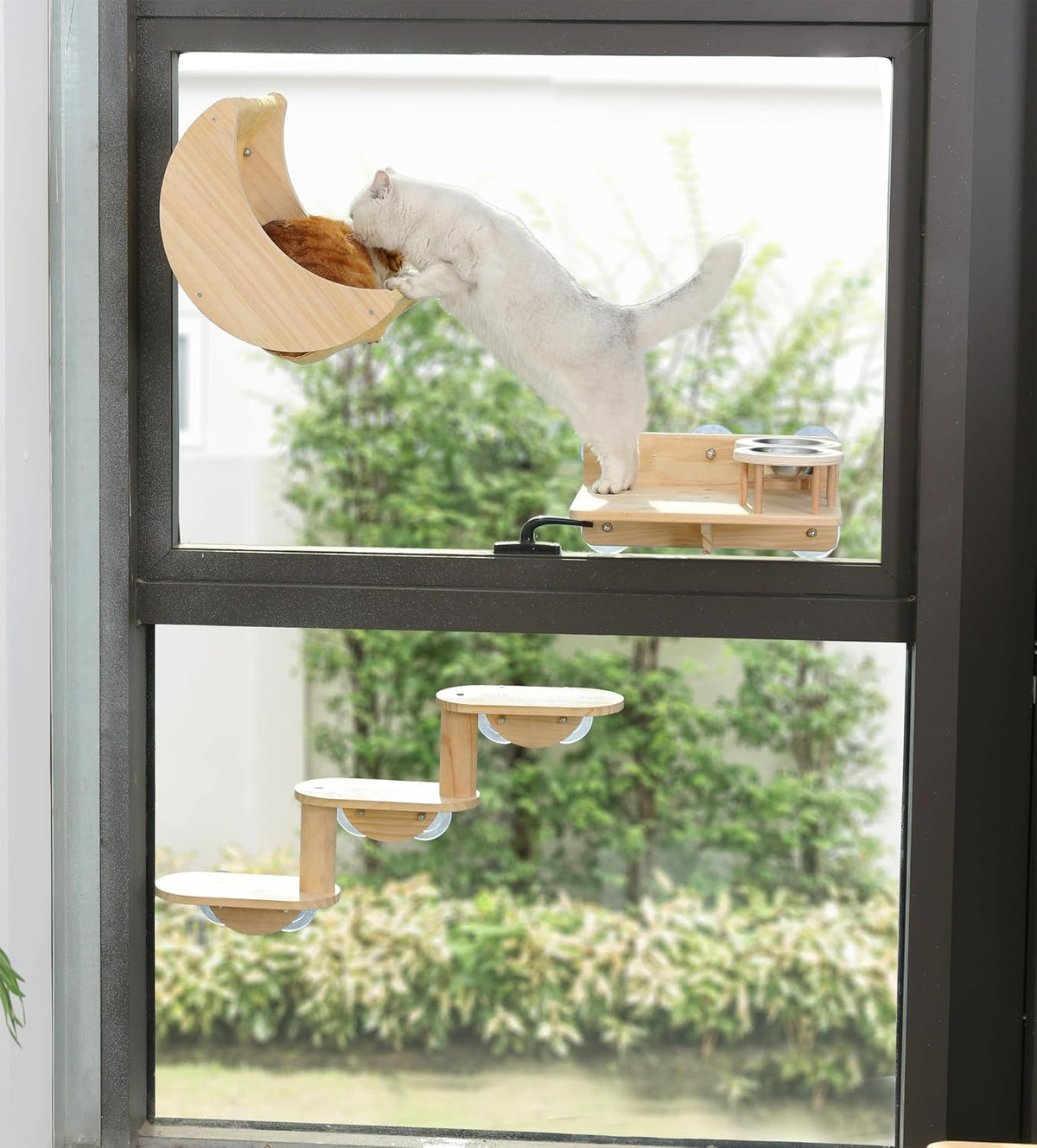 Cat Window Perch, Plywood Moon Bed with 4 Heavy-Duty Suction Cups – Essentials for Cats - stripe - image 2