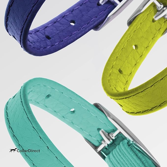 CollarDirect Leather Cat Collar, Cat Safety Collar with Elastic Strap, Kitten Collar for Cat with Bell Black Blue Red Orange Lime Green (Neck Fit 6"-7", Mint Green)