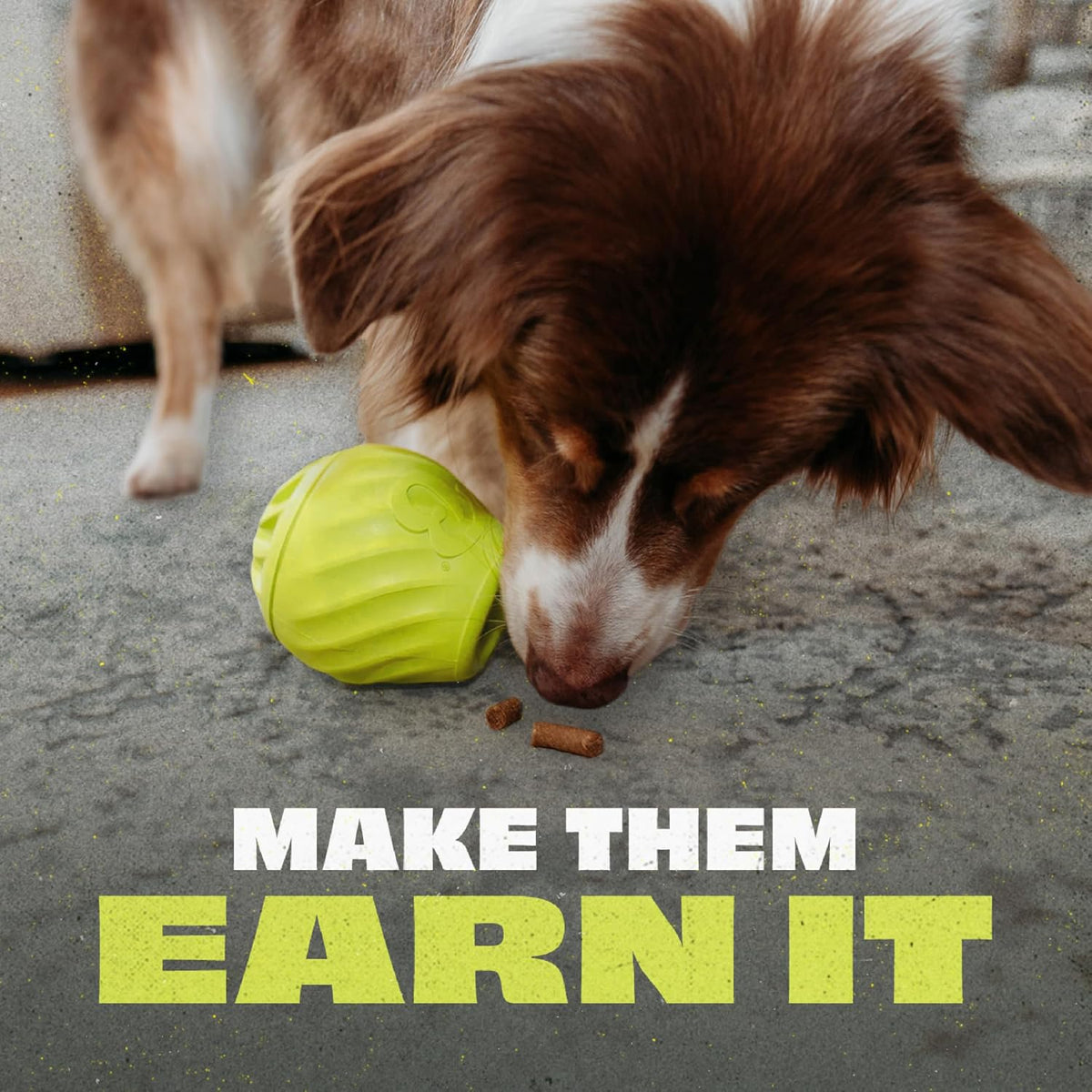 Benebone Natural Rubber Tug Interactive Dog Toy – Essentials for Dogs - Pawbler / Small/Medium - image 2