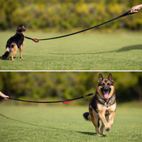 Dog Leash 6ft Long, Traffic Padded Two Handle, Heavy Duty - 6FT / Pink - image 3