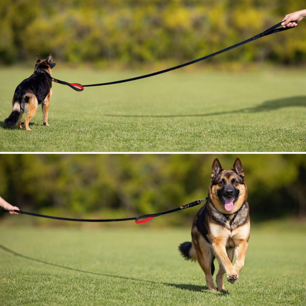 Dog Leash 6ft Long, Traffic Padded Two Handle, Heavy Duty - 6FT / Pink - image 3