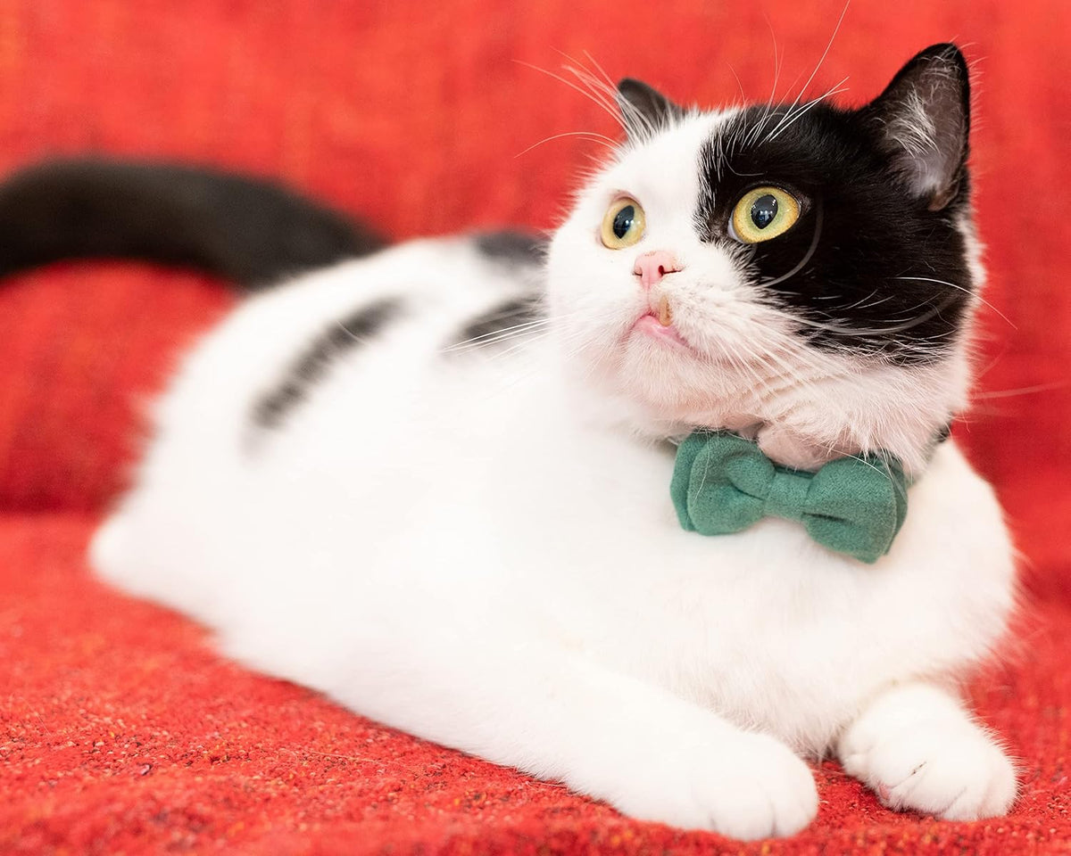 Collar for Cat Pet Breakaway with Bell Bowtie Detachable Bow - Christmas-B - image 4