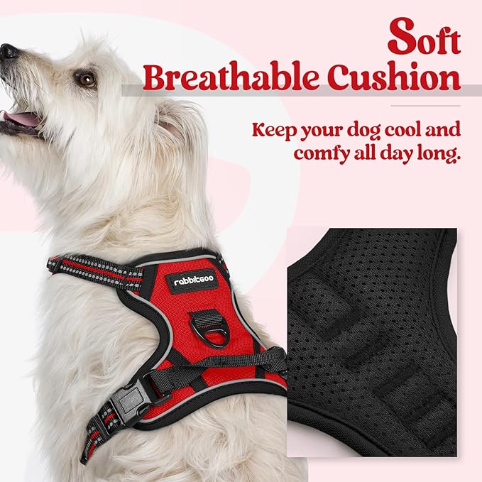 rabbitgoo Dog Harness No Pull with 2 Leash Clips, Adjustable Soft Padded, Reflective Oxford No Choke Pet Vest with Easy Control Handle for Puppy, Red,XS