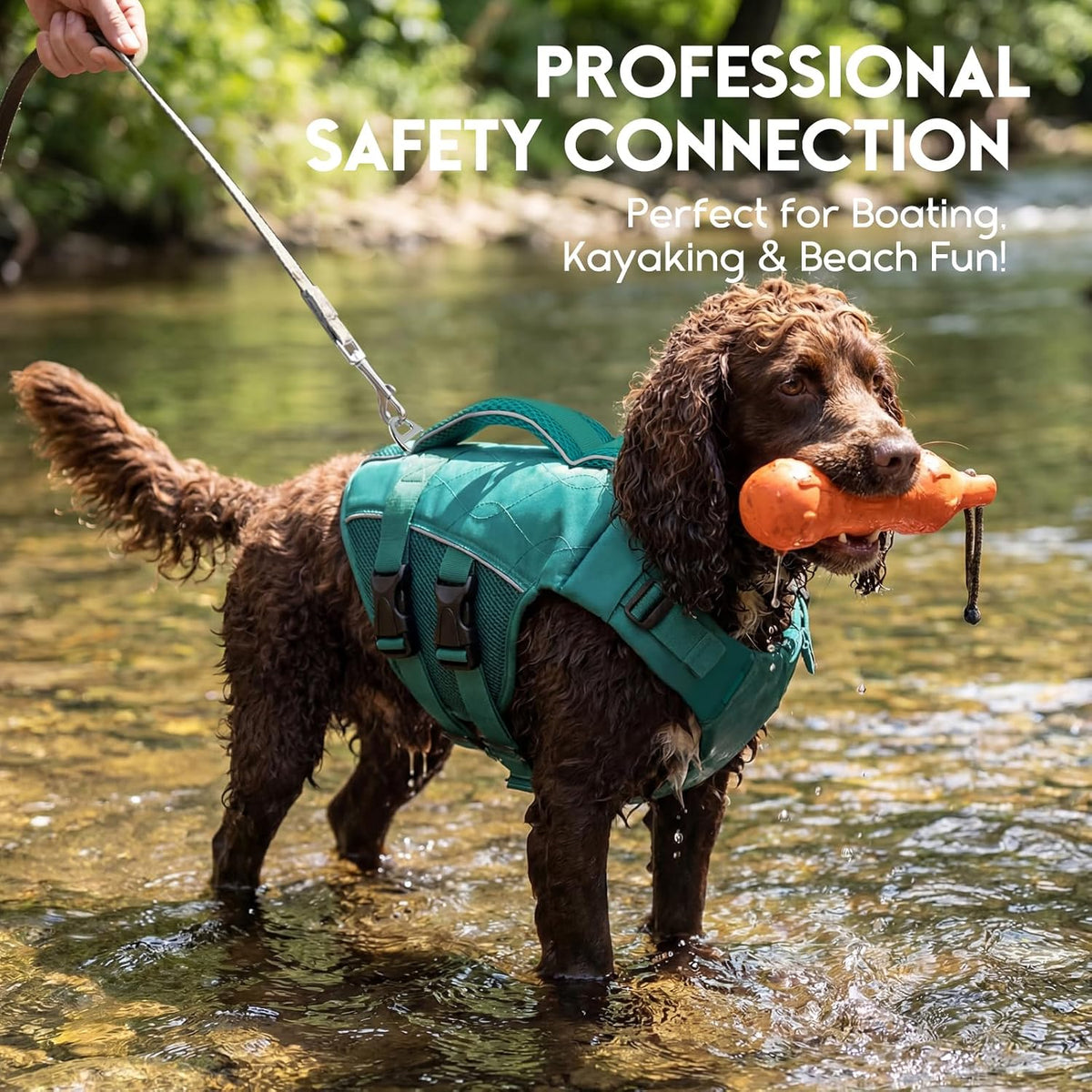 ASENKU Dog Life Jacket, High Floatation Dog Swimming Vest with Rescue Handles for Small Medium - X-large / LakeGreen - image 4