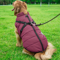 Aiboria Dog Jackets Coat for Winter Windproof Waterproof Skiing Dog - Violet / Large - image 4