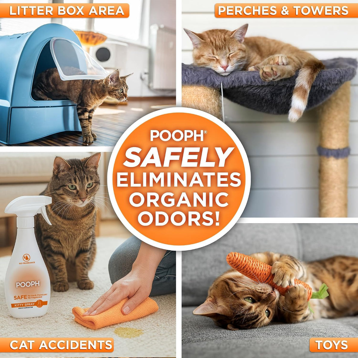 POOPH Kitty Odor Eliminator Spray for Cats - image 2