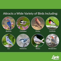 Lyric Fine Tunes No Waste Bird Seed 5 lb. Bag and Lyric Finch Small Songbird Wild Bird Food 5 lb. Bag for Outdoor Bird Feeders