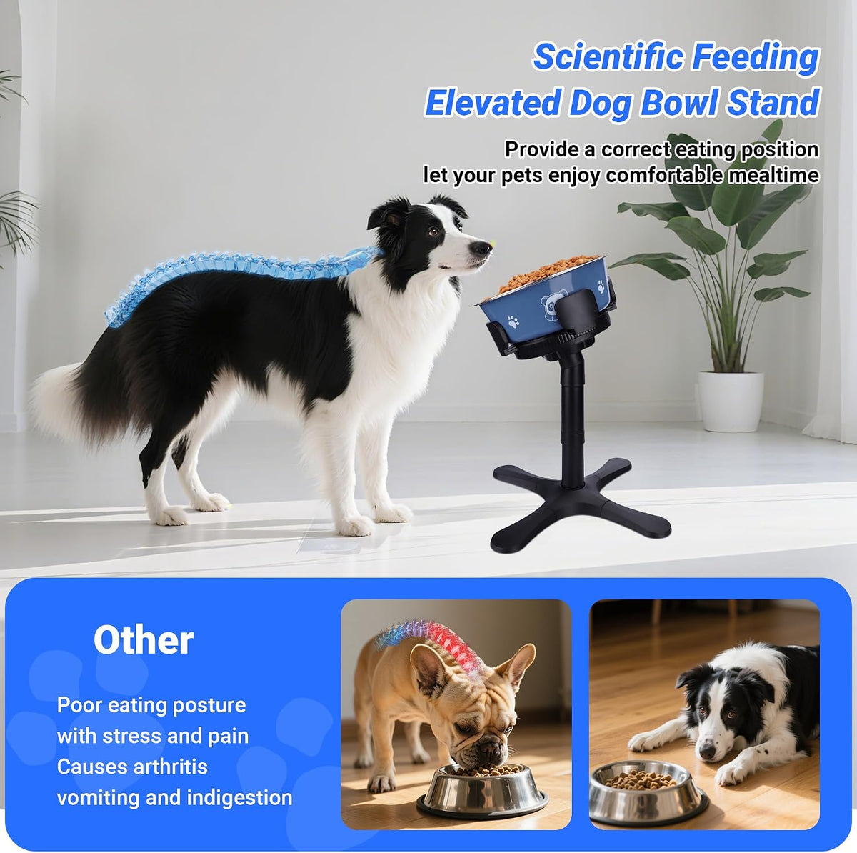 Dog Bowls Elevated Adjustable Stand - Dog Bowl Stand 1 Pack Black - image 3