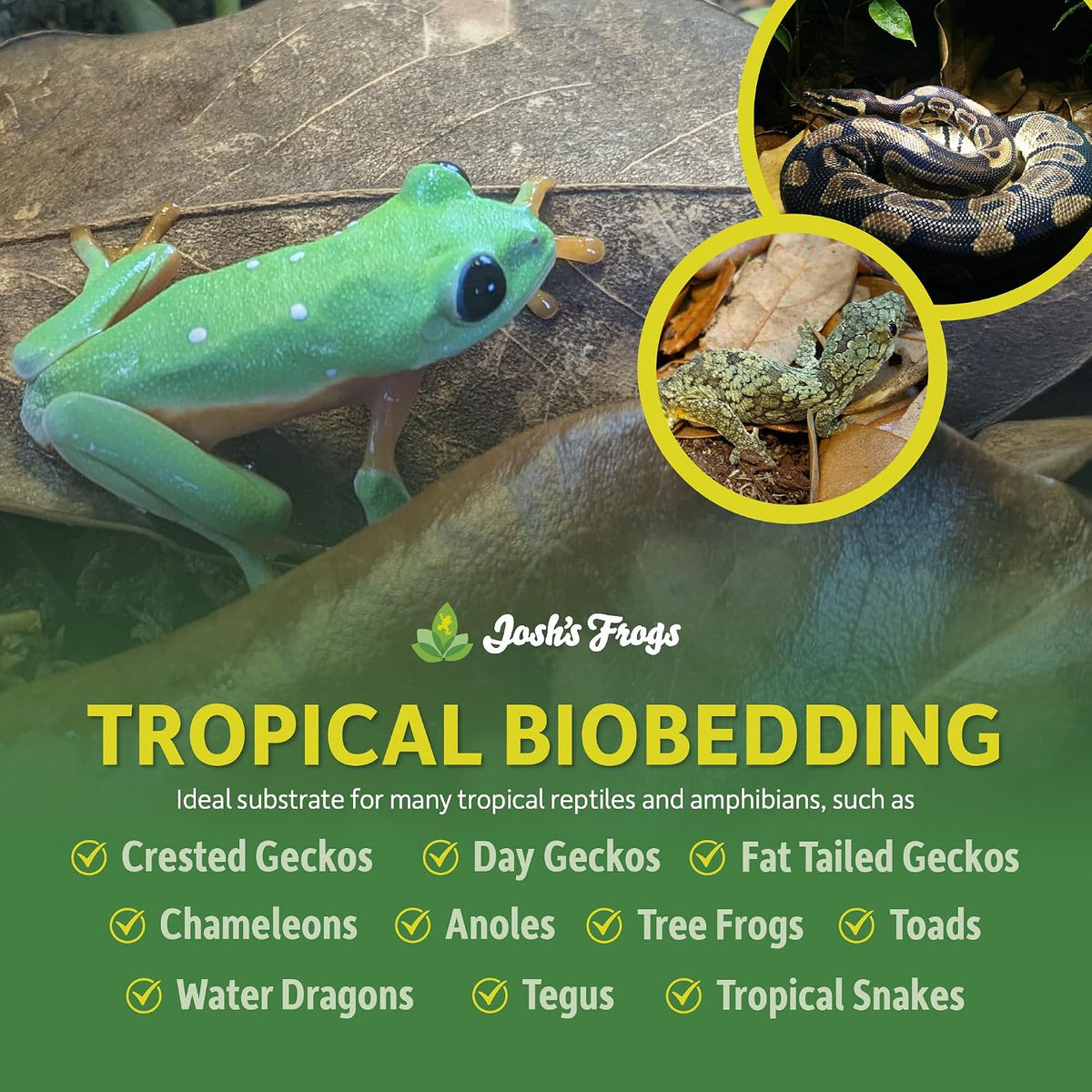 Josh's Frogs BioBedding Tropical Bioactive Substrate – Daily Care for Reptiles And Amphibians - 4 Quart - image 2