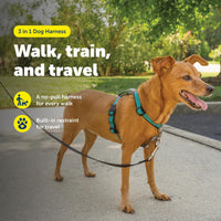 PetSafe 3 in 1 No-Pull Dog Harness, Walk, Train or Travel - Teal / Extra Small (Pack of 1) - image 2