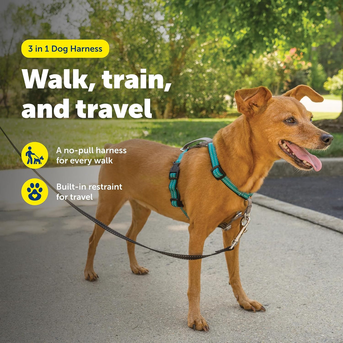 PetSafe 3 in 1 No-Pull Dog Harness, Walk, Train or Travel - Teal / Extra Small (Pack of 1) - image 2