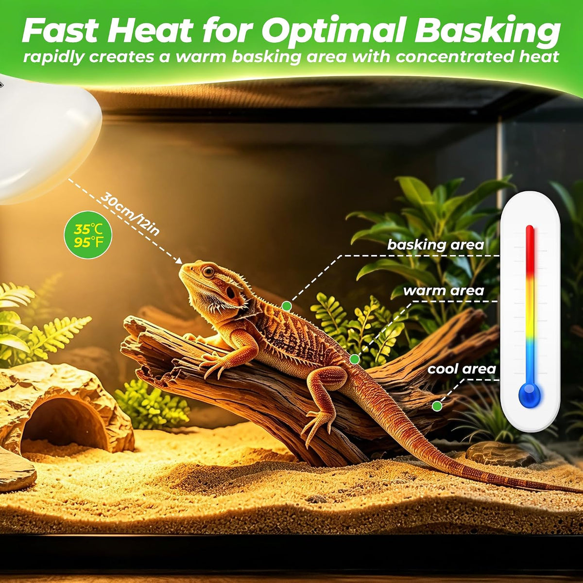 LUCKY HERP Reptile Heat Lamp Bulbs 100W - 75 - image 3