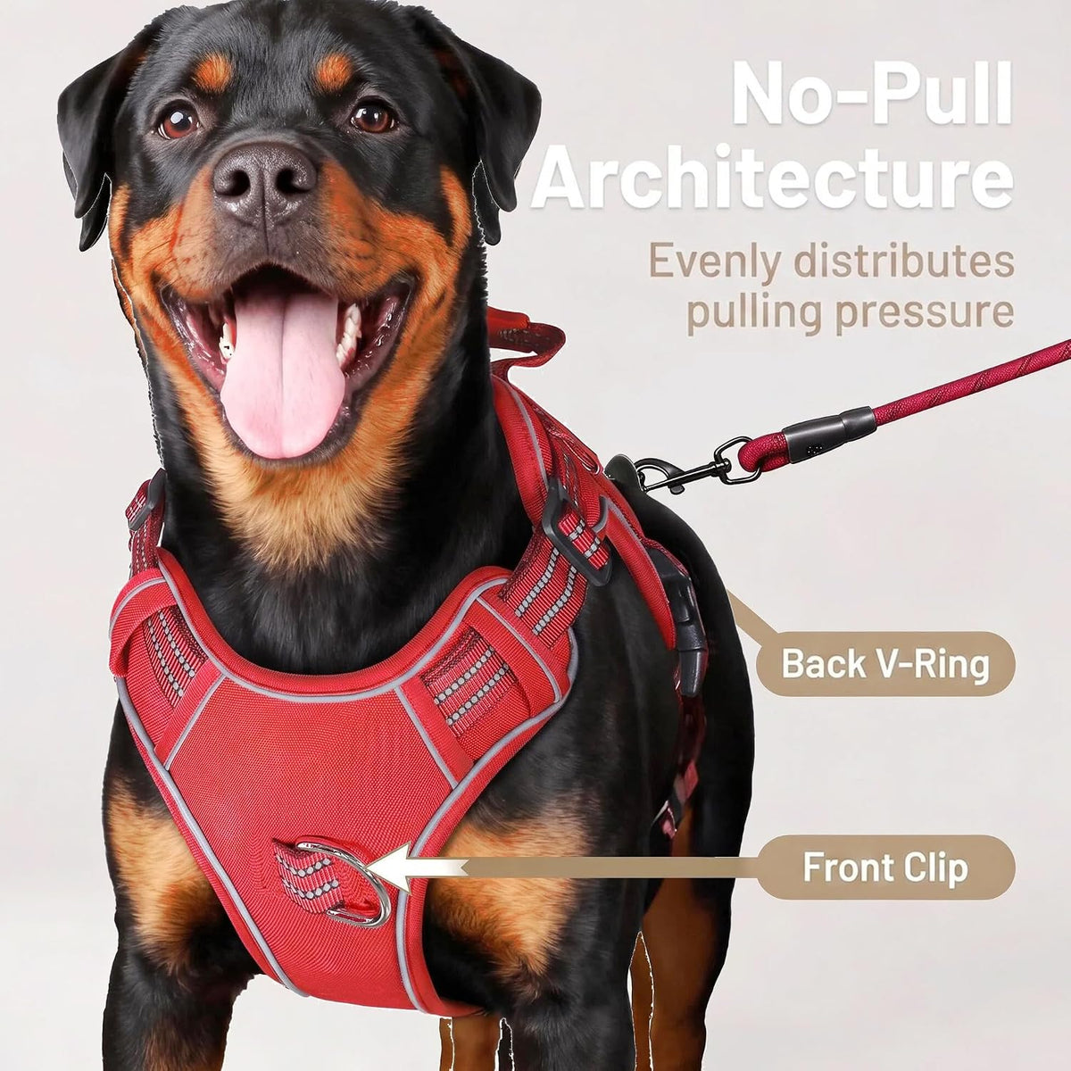 Dog Harness and Leash Set for Large Dogs - Red / M - image 2