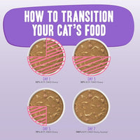 Weruva B.F.F. OMG - Best Feline Friend Oh My Gravy!, Chicken & Duck Dream Team with Chicken & Duck in Gravy, 2.8oz Can (Pack of 12)