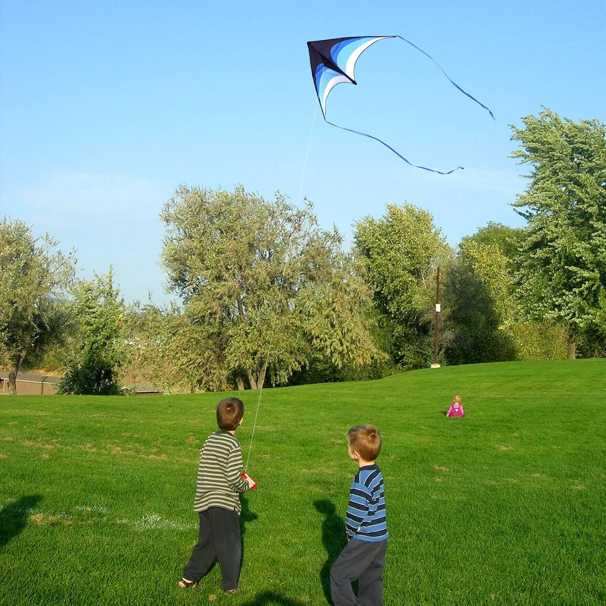 Delta Kite for Kids Ages 4-12 - 1 / Black Blue - image 4
