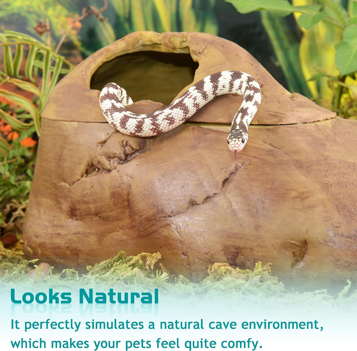 Antidious Snake Hide Cave for Gecko Shedding - Large - image 4