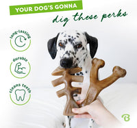Benebone Medium 4-Pack Dog Toys for Aggressive Chewers - Medium (Pack of 8) / Fishbone/Wishbone - image 3