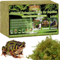 9 OZ Sphagnum Moss for Reptiles, Green Terrarium Moss - 2.2LB