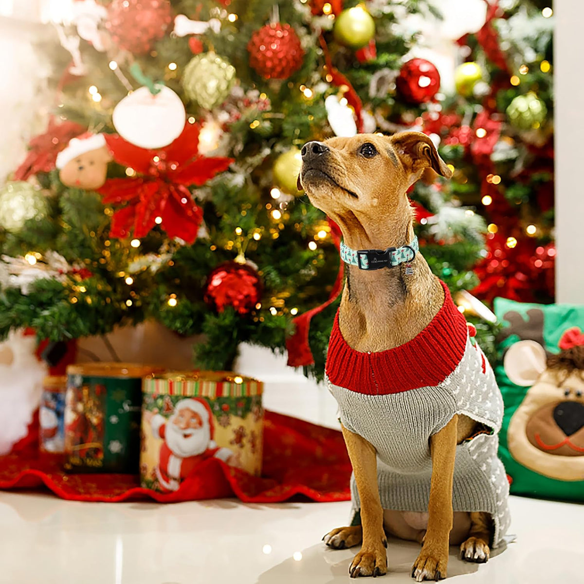 ARING PET Fall Dog Collars - X-Small / Christmas Green Tree - image 4