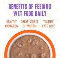 Weruva B.F.F. OMG - Best Feline Friend Oh My Gravy!, Yippy Ki Yay Yellows! Variety Pack, 2.8oz Pouch (Pack of 12)