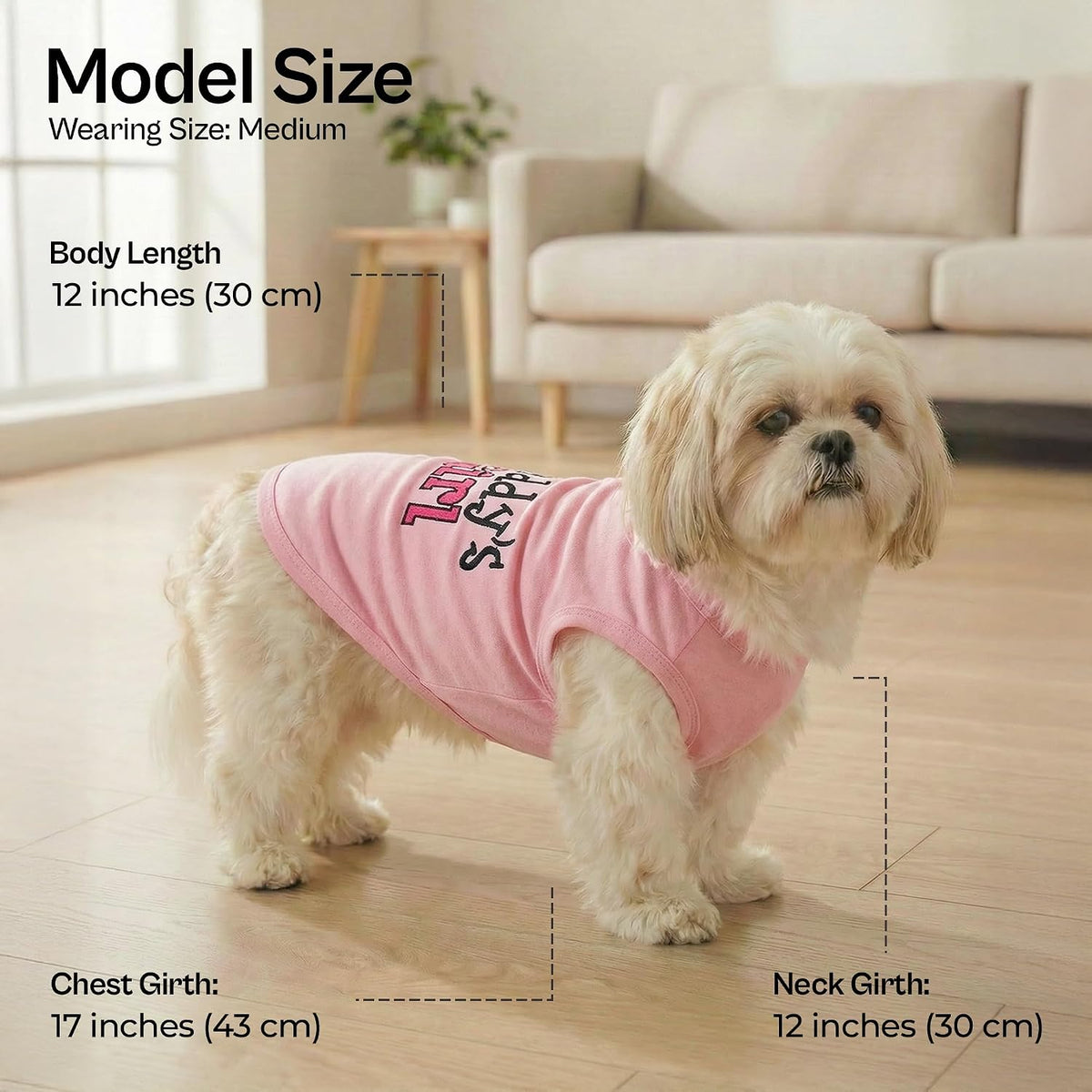Parisian Pet Dog Shirt, 100% Cotton Shirts for Medium Dogs - Daddy's Girl / Medium (8-12lbs) - image 2