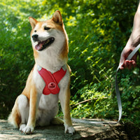 Patas Lague Dog Harness Medium Sized Dog Pet Vest with Leash Set Pink - Red / XS (Neck 16-19.1'' Chest 18.8-21.5'') - image 2