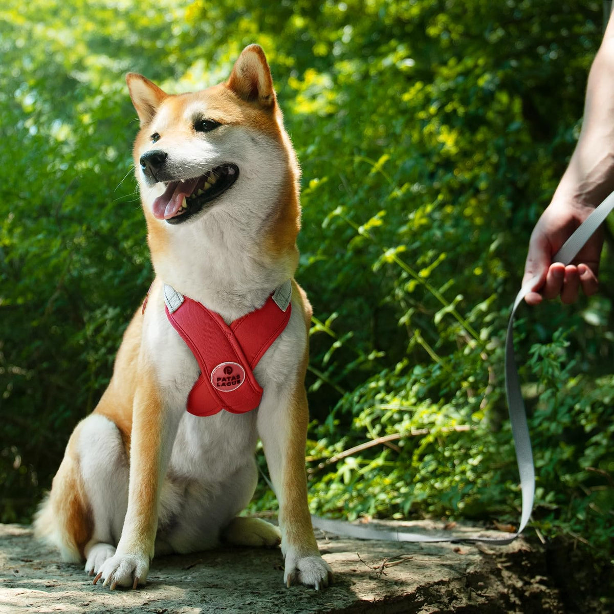 Patas Lague Dog Harness Medium Sized Dog Pet Vest with Leash Set Pink - Red / XS (Neck 16-19.1'' Chest 18.8-21.5'') - image 2