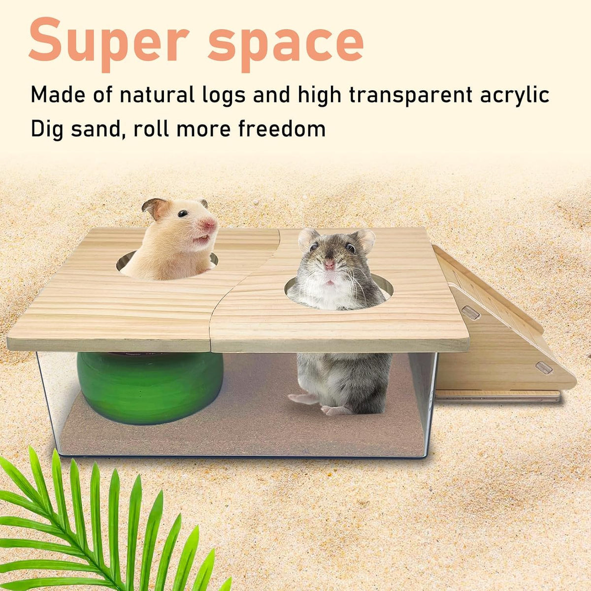 Extra Large Wood Hamster Sand Bath Box Small Animals Bathroom - With Two Hole - image 2