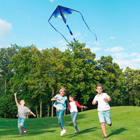 Kite, Large Delta Kites for Kids and Adults - Blue - image 3