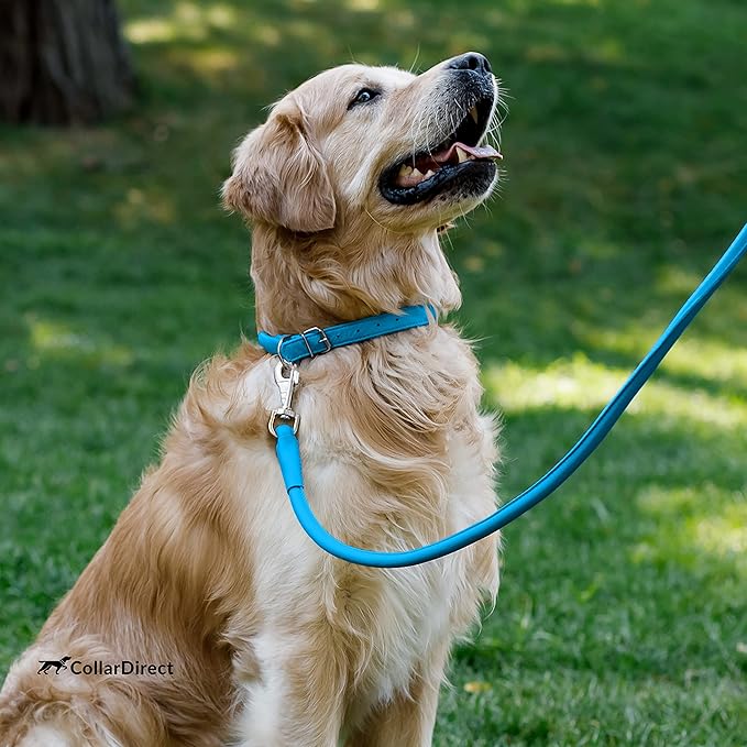 CollarDirect Rolled Leather Dog Collar, Soft Padded Round Puppy Collar, Handmade Genuine Leather Collar Dog Small Large Cat Collars 13 Colors (15-19 Inch, Light Blue Textured)