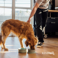 Dog Travel Bowls - Set of 2 Portable Pet Food & Water Dishes with Lid & Handle - Each Nesting - Light Green / Large - image 2