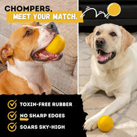 Super Durable Dog Ball, Tough, Strong Chew & Fetch Toy for Power - image 4