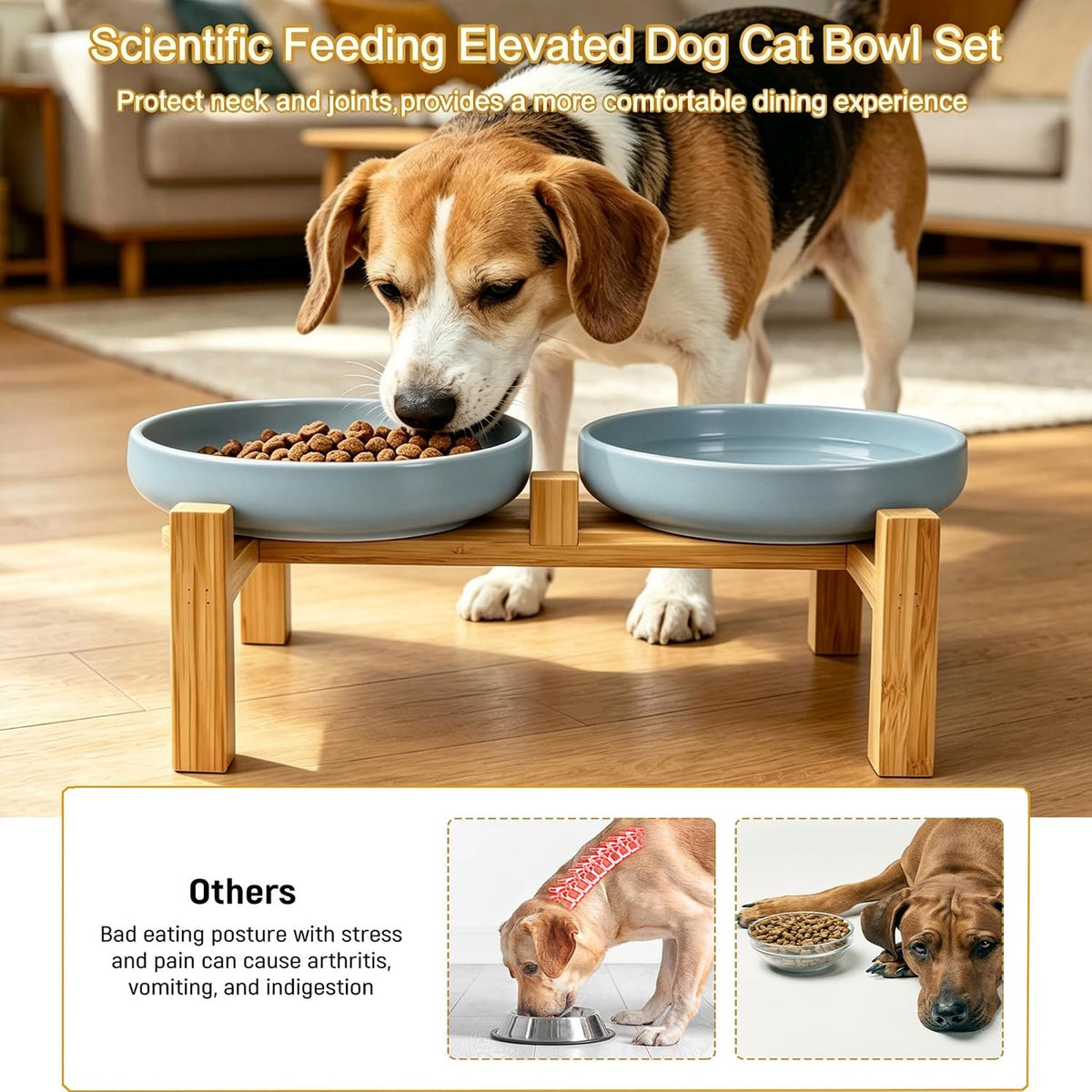 Ceramic Cat Bowls, Shallow Cat Dishes for Food and Water - Grey elevated - image 4