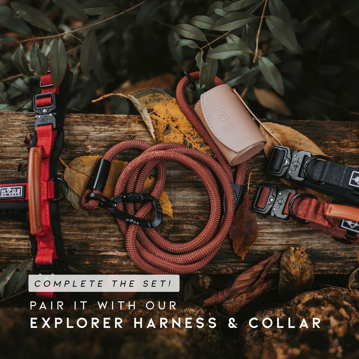 MADE TO ROAM Premium Explorer Leash - Montana Moonrise / 4 Feet - image 2