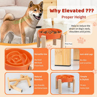 Elevated Slow Feeder Dog Bowl - Orange / 3.2 Cups - image 3