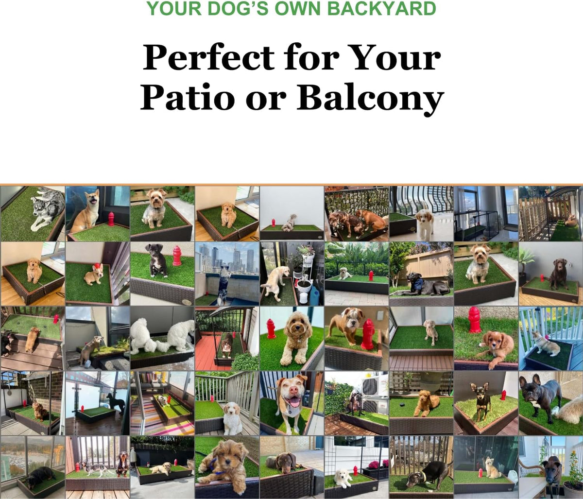 Porch Potty Premium Outdoor Dog Potty System with Artificial Grass - Premium - image 4
