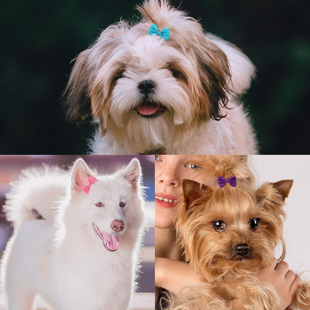 48PCS Dog's Hair Bows Clips - image 3