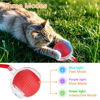 2025 New 3Pack Cat Ball Kitten Toys for Indoor Interactive Kitty Ball - 2PK - image 3