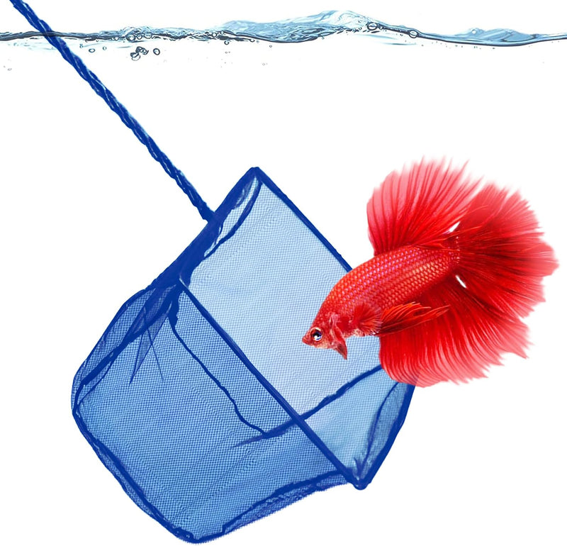 SunGrow Betta Fish Net, Secure Delicate Fin