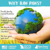 Raw Paws Catnip & Silvervine Lollipops Interactive Cat Toy (6 Pack) - Silvervine Sticks for Cats - Catnip Ball Toy - Fresh Cat Nip - Silver Vine Dental Sticks