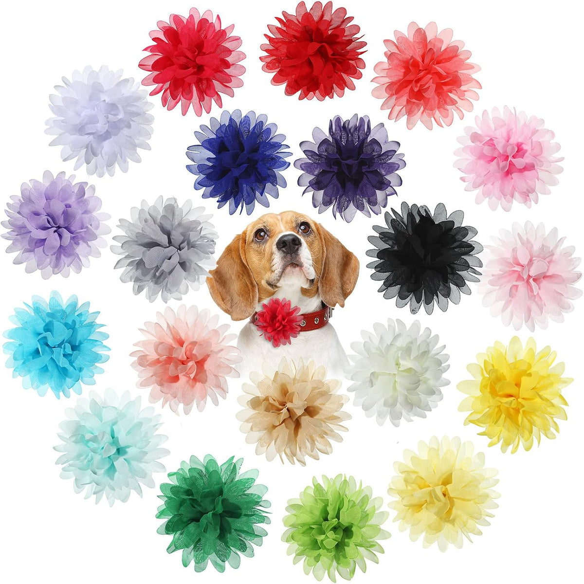 WILLBOND 20 Pcs 4.7 Inch Dog Collar Flowers Bow, Multicolored – Essentials for Dogs - 4.7 Inch